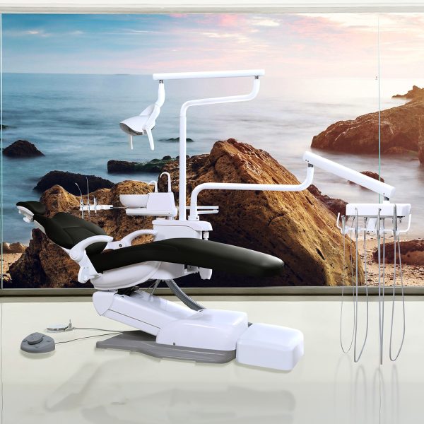 Pioneer C Series - Complete Dental Chair Package