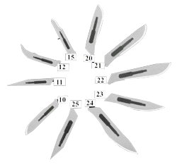 Surgical Blades - All Sizes